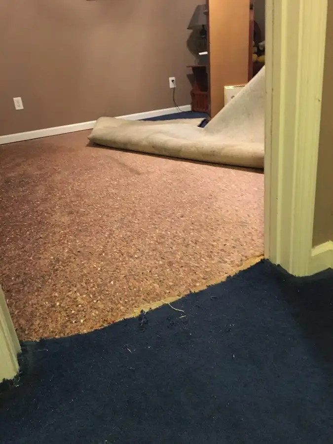 Carpet pad removal revealing water damage during Water Mitigation Services in West Hazleton