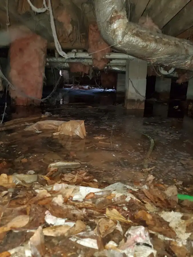 Crawl space flood assessment for Leak Detection & Repair in West Hazleton