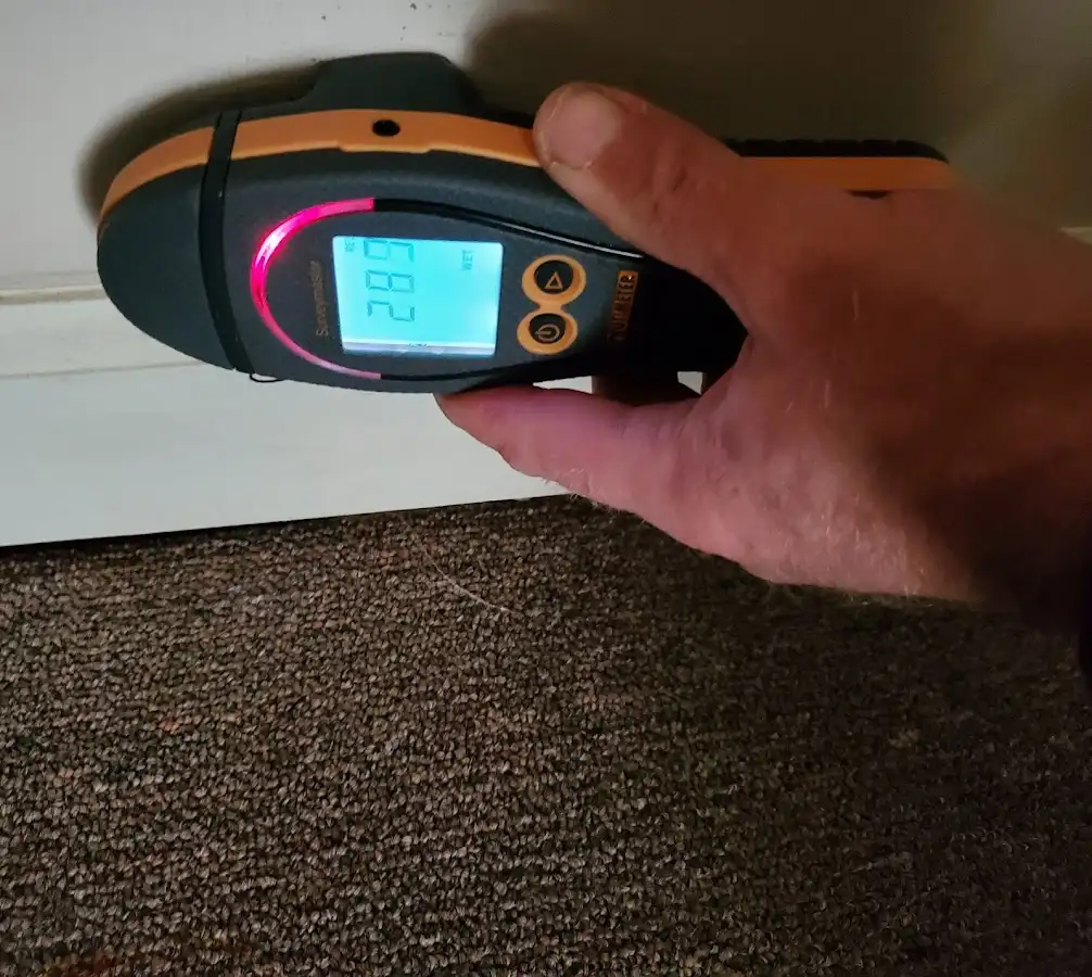 Moisture detection at baseboard during Sewage Cleanup & Sanitation in West Hazleton